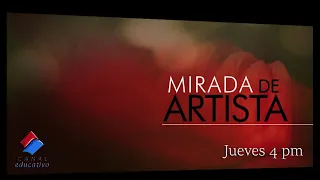 Mirada de Artista Diseñando Vidas Parte 2