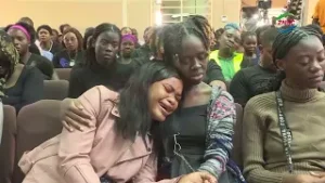 Совет определил источник смертельного нападения пчел.