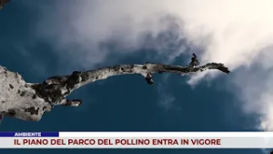 AMBIENTE. IL PIANO DEL PARCO DEL POLLINO ENTRA IN VIGORE