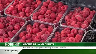 ФЕСТИВАЛ НА МАЛИНАТА: Как премина официалното откриване в Самоков