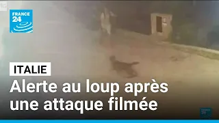 Italie : deux touristes attaquées par un animal sauvage dans les Pouilles • FRANCE 24