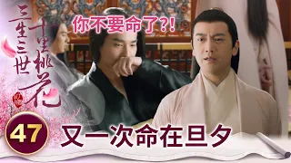折顏才剛把夜華從鬼門關拉回來 他卻滿腦子只有淺淺？【三生三世十里桃花】精華 EP47-1 楊冪、趙又廷、迪麗熱巴、高偉光、張智堯 @ctvdrama_classic