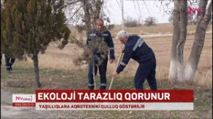 “Naxçıvan Avtomobil Yollarının Yaşıllaşdırılması” Məhdud Məsuliyyətli Cəmiyyəti təsis olunub