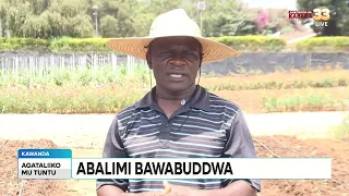 Ttuntu:  Abalimi bawabuddwa
