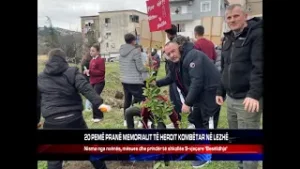 20 PEMË PRANË MEMORIALIT TË HEROIT KOMBËTAR NË LEZHË