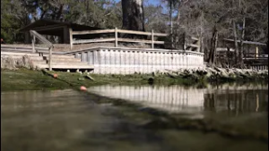 AI Boom VS Florida’s Water: Could data centers tip our natural springs to a breaking point?