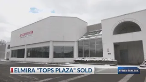 Large retail store, jobs, coming to Elmira's old Tops plaza