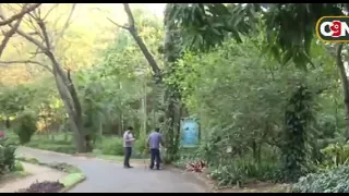 A green escape in the middle of the city