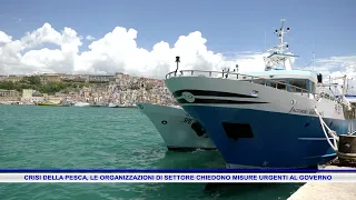 FISHING CRISIS, INDUSTRY ORGANIZATIONS DEMAND URGENT MEASURES FROM THE GOVERNMENT