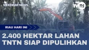 2.400 HEKTAR LAHAN TNTN SIAP DIPULIHKAN