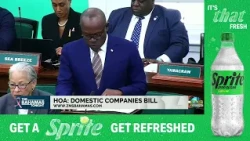 HOA:  Domestic Companies Bill