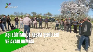 Aşı Eğitiminde Kesim Şekilleri ve Ayarlanması