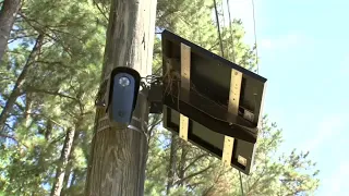 Flock cameras' alleged misuse leads to Franklin County deputy being fired, suspension of the system