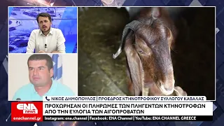 Πιστώθηκαν στους λογαριασμούς των πληγέντων κτηνοτρόφων χρήματα για την ευλογιά