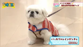 Keep your pets comfortable too! Rain gear and heatstroke prevention goods at "Pet Wide Heiwadai S...