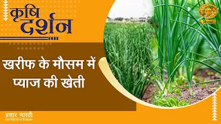 Krishi Darshan | कृषि दर्शन – खरीफ के मौसम के प्याज की खेती | DD Kisan | July 1, 2026