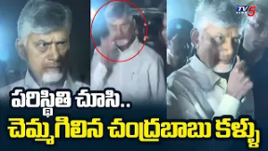 బాబు భావోద్వేగం | CM Chandrababu Inspected in Kakinada Vetlapalem Fire Incident Spot | TV5 News