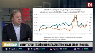 Analytikern: Därför är skogssektorn het