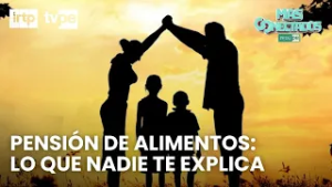 Proceso de tenencia y pensión paso a paso | “Más conectados”