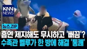 흡연 제지해도 무시하고 '뻐끔'? 수족관 벨루가 한 방에 해결 '통쾌' / KNN