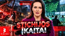 Bejėgiai prieš stichiją: po audros lietuvių laukė dar vienas smūgis