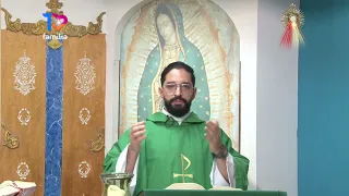 SANTA MISA LUNES 15 DE JUNIO 2026 PADRE JOSE MANUEL DISPONIBLE  en https://tvfamilia.com/santa-misa/