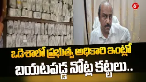 ⚠️Stacks of Money Seized! Odisha Government Officer in Cash Controversy? | Investigation Underway?