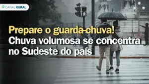 Prepare o guarda-chuva! Chuva volumosa se concentra no Sudeste do país | Previsão do tempo | 24h
