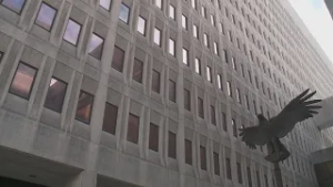 Opening statements in staged accidents trial