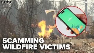 How to identify fraudulent charity websites amid donation calls for Spokane wildfires