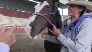 💚 HEALING, LEARNING, AND CONNECTING THROUGH HORSES 🐴