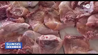 SUMSEL TODAY - BROILER CHICKEN PRICES HIT 40 THOUSAND RUPIAH