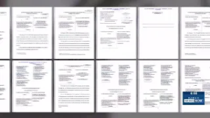 Unsealed court records detail FBI raid, witness threat during hitman-for-hire investigation