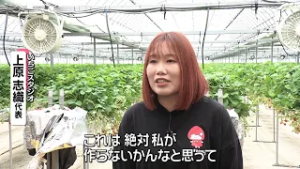 RNC news every.【中四国 旬コレ】若手女性農家のイチゴ　2026/02/27放送