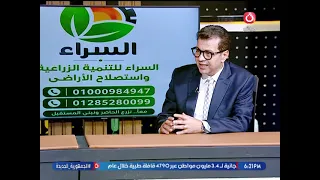 عضو مجلس الشيوخ يكشف عن رؤيته للتخطيط العمراني الحديث ومدي تأثيره