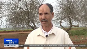 Morocco’s argan tree drives jobs and conservation