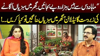 Grow Vegetables at Home | What to Do If They Don’t Grow? | NEO News