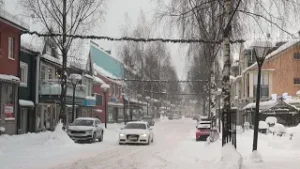 kf-nyttklipp | TV4 Nyheterna | TV4 & TV4 Play