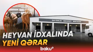 Ölkəyə idxal olunan heyvanlarla bağlı yeni qaydalar tətbiq ediləcək - Baku TV