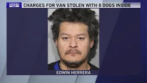 CPD recover stolen van full of dogs on North Side; man charged