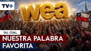 At what point did we turn the word "wea" into such a Chilean staple?