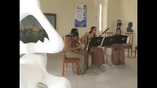 Music filled various venues in Cienfuegos