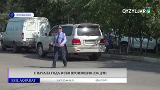 236 traffic accidents recorded in North Kazakhstan region since the beginning of the year