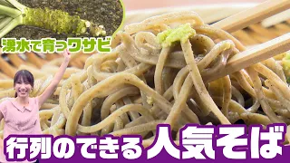 Famous Wasabi from the Spring Water Village of Sakuyazawa, Yamanobe & A Popular Soba Restaurant w...
