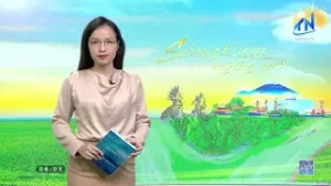 Trên 10,3 tỷ đồng đầu tư mở rộng Đường tỉnh 831 | TayNinhTV