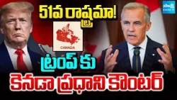 Canadian PM Mark Carney Strong Counter To Trump Over 51 State Of USA | International News
