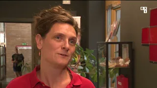 La formation aux premiers secours disparait du permis de conduire à Bruxelles