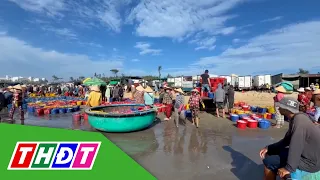 Lam Dong Fishermen Hit the Jackpot with Anchovy Catch | THDT