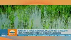 Dominican Rice: Challenges, Prices, and Outlook | Marcos Rodríguez