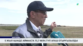 5 жыл ішінде аймақта 73,7 млн.түп ағаш отырғызылды